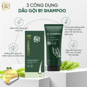 3 công dụng chính của dầu gội B1 Giảm rụng